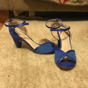 Blue Nobel Suede Sandal :Chelsea Crew/ModCloth